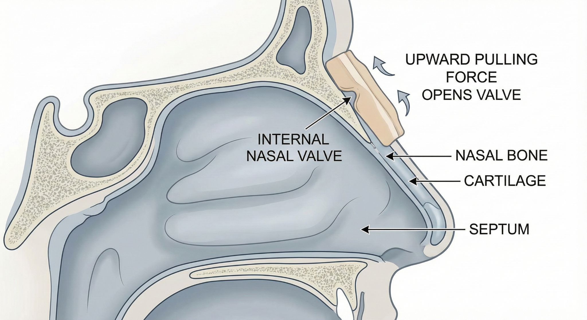 ![Enter image alt description](Images/SJH_Image_1.png)